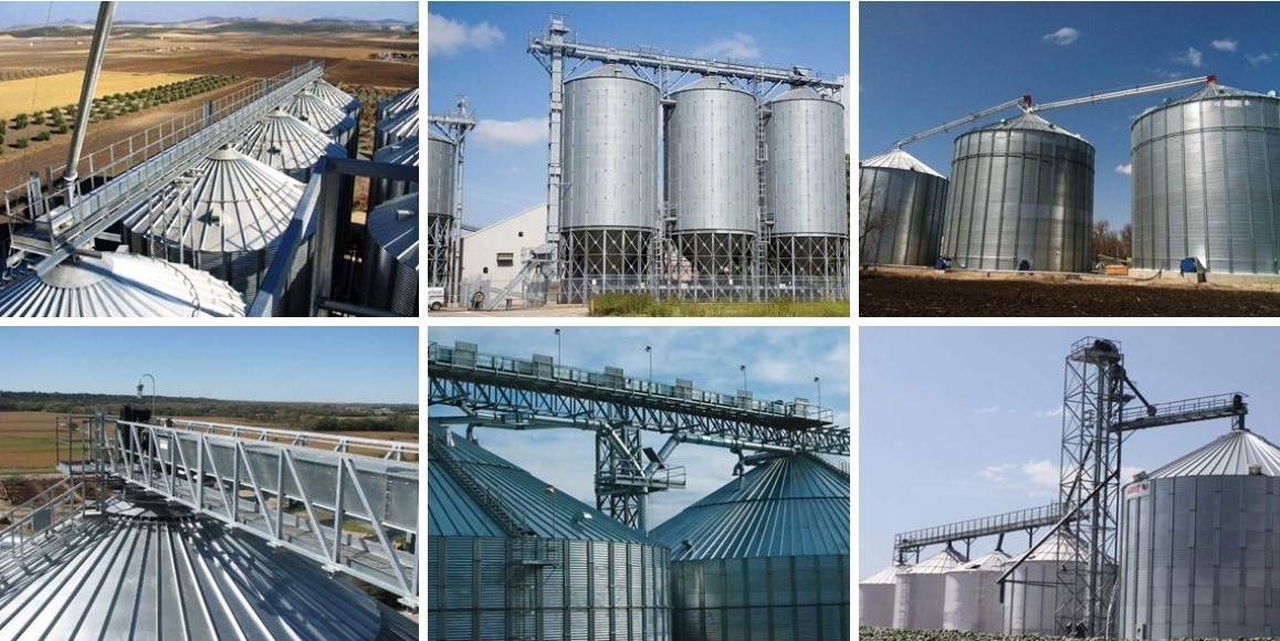 Konveyor Scraper Gandum